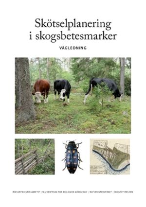 Skötselplanering i skogsbetesmarker : Vägledning