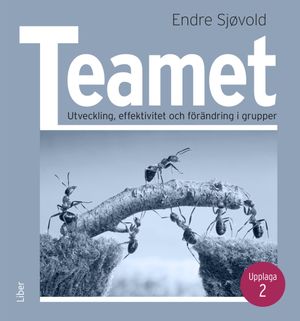 Teamet - Utveckling, effektivitet och förändring i grupper |  2:e upplagan