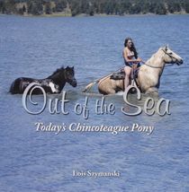 Out Of The Sea, Todays Chincoteague Pony