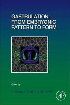 Gastrulation: From Embryonic Pattern to Form