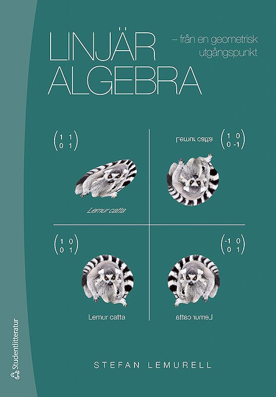 Linjär algebra : från en geometrisk utgångspunkt | 1:a upplagan