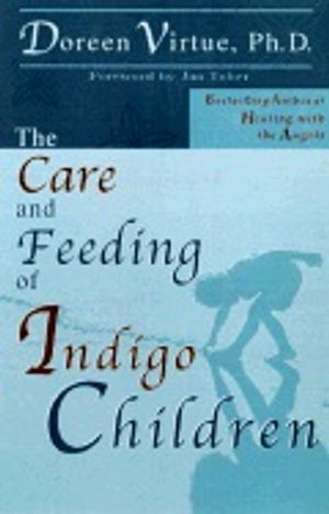 Care & Feeding/Indigo Children