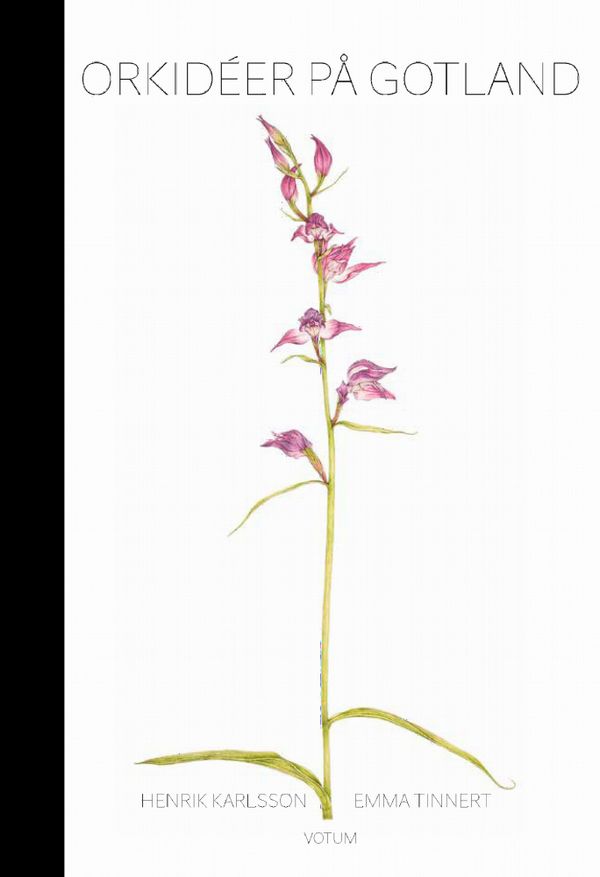 Gotlands orkidéer | 1:a upplagan