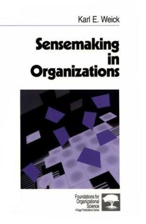 Sensemaking in Organizations | 0:e upplagan