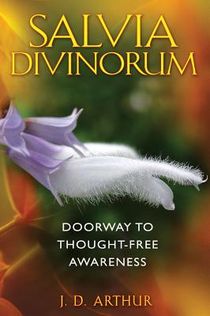 Salva Divinorum: Doorway To Thought-Free Awareness