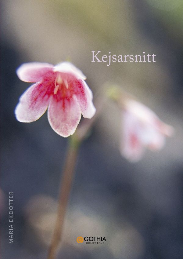 Kejsarsnitt | 2:a upplagan