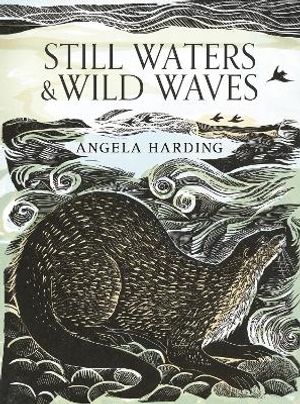 Still Waters & Wild Waves