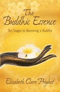 Buddhic Essence: Ten Stages To Becoming A Buddha
