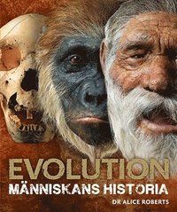 Evolution : människans historia