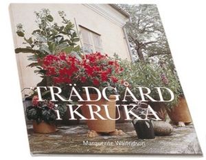 Trädgård i kruka