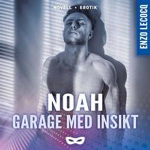 Garage med insikt