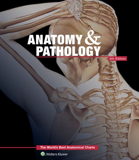 Anatomy & Pathology: The World's Best Anatomical Charts Book | 0:e upplagan