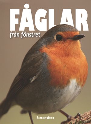 Fåglar från fönstret