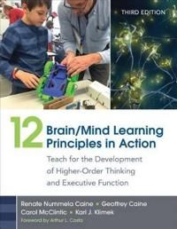 12 Brain/Mind Learning Principles in Action | 3:e upplagan