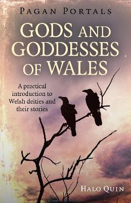 Pagan portals - gods and goddesses of wales - a practical introduction to w | 0:e upplagan