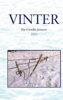 Vinter : I mörker och kyla på de oändliga isvidderna
