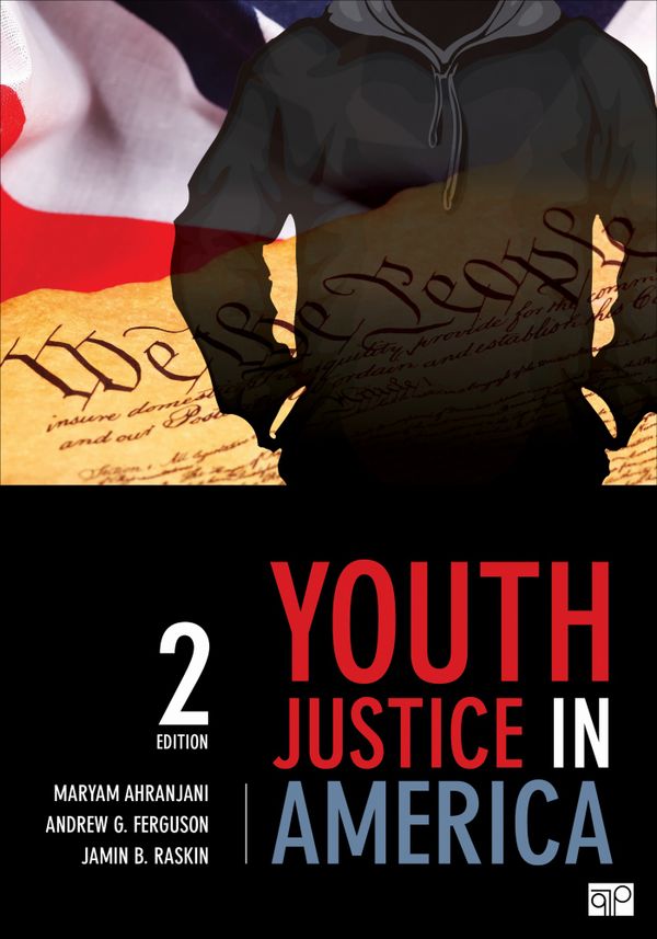 Youth Justice in America | 2:a upplagan