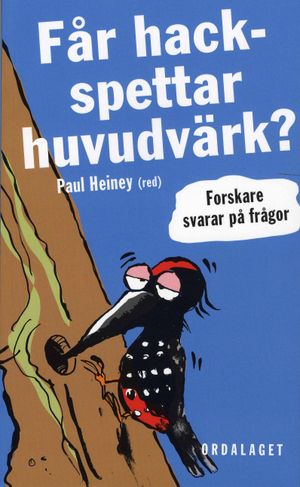 Får hackspettar huvudvärk?