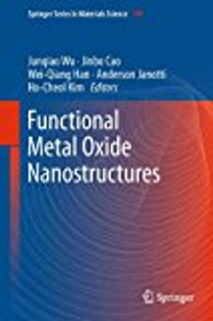 Functional Metal Oxide Nanostructures | 1:a upplagan