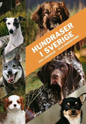 Hundraser i Sverige | 1:a upplagan