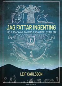 Jag fattar ingenting : möjliga svar på omöjliga bibelställen | 1:a upplagan