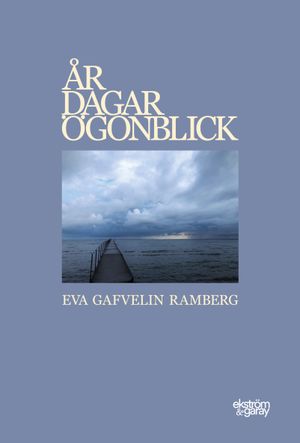 År dagar ögonblick | 1:a upplagan