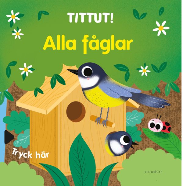 Tittut! Alla fåglar | 0:e upplagan