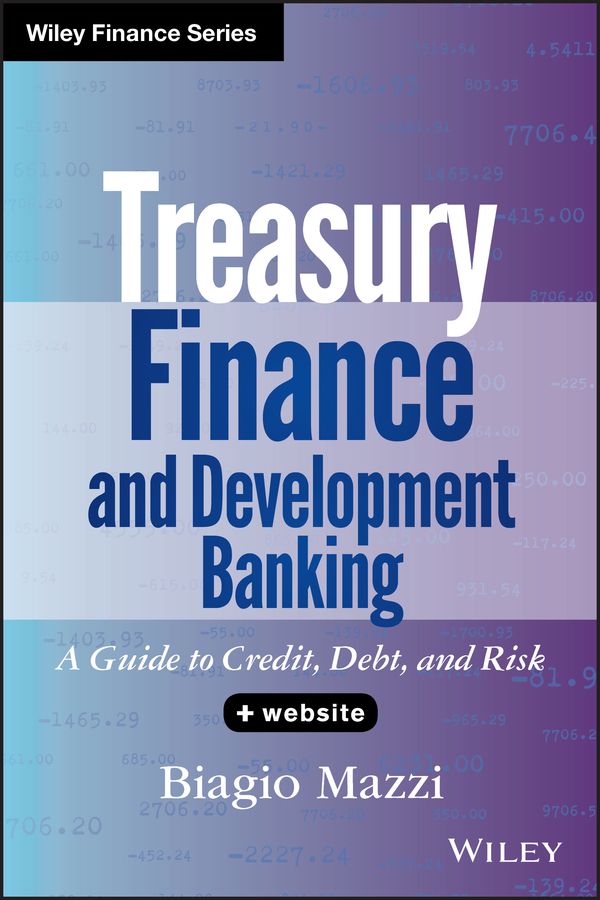 Treasury Finance and Development Banking: A Guide to Credit, Debt, and Risk | 1:a upplagan