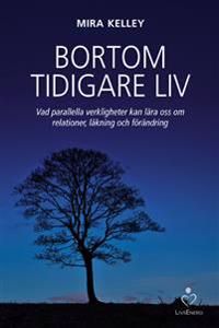 Bortom tidigare liv : vad parallella verkligheter kan lära oss om relationer, läkning och förändring | 1:a upplagan