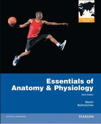 Essentials of Anatomy & Physiology | 6:e upplagan