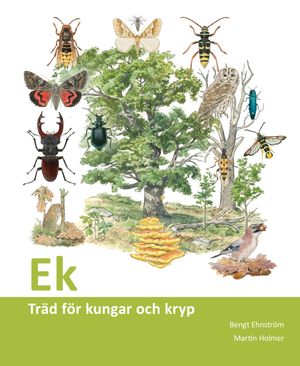 Ek: träd för kungar och kryp | 1:a upplagan