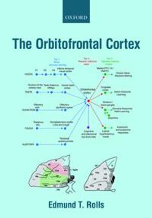 The Orbitofrontal Cortex