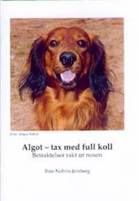 Algot : tax med full koll | 0:e upplagan