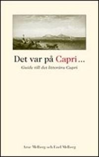 Det mångkulturella samhället | 1:a upplagan