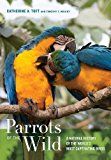 Parrots of the wild - a natural history of the worldÏ¿½ s most captivating