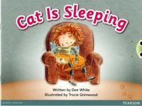 Bug Club Pink A Cat is Sleeping 6-pack | 0:e upplagan