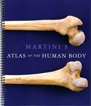 Martini's Atlas of the Human Body (ME Component) | 9:e upplagan