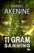 11 gram sanning