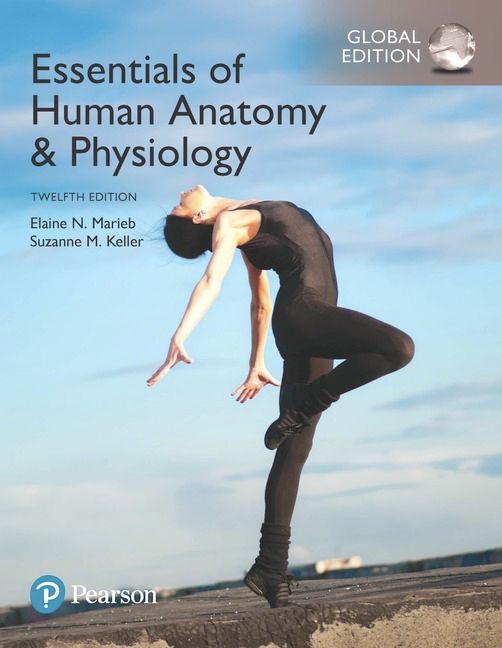 Essentials of Human Anatomy & Physiology plus Pearson Mastering Anatomy & Physiology with Pearson eText, Global Edition | 12:e upplagan