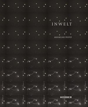 Maximilian Prüfer : Inwelt