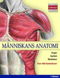 Människans anatomi
