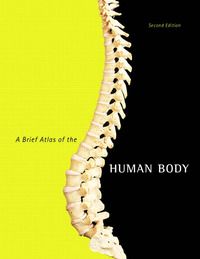 A Brief Atlas of the Human Body | 2:a upplagan