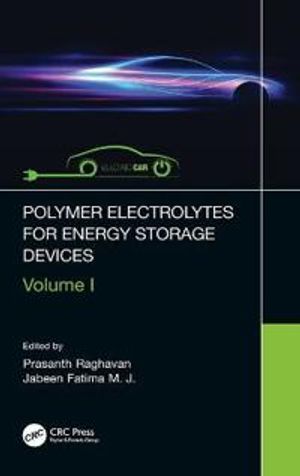 Polymer Electrolytes for Energy Storage Devices | 1:a upplagan