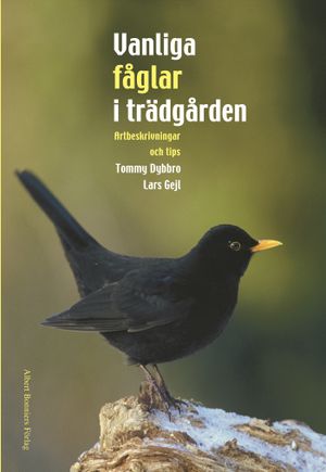 Vanliga fåglar i trädgården