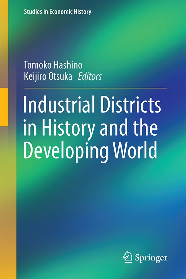 Industrial Districts in History and the Developing World | 1:a upplagan