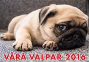 Almanacka - Våra valpar 2016