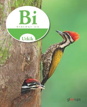 Utkik 4-6 Biologi | 1:a upplagan