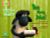 Bug Club Reading Corner: Age 4-7: Shaun the Sheep: Too Many Jobs!