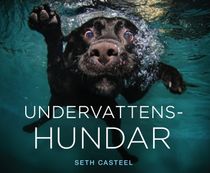 Undervattenshundar