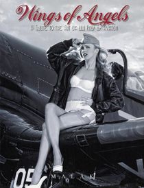 Wings of angels - a tribute to the art of world war ii pin-up & aviation bo